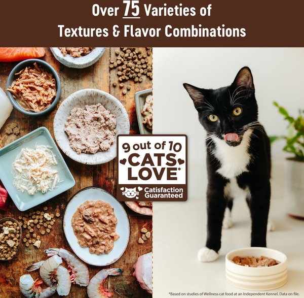 Cat Treats Best Food For Cats Homemade Best Homemade Food For Cats