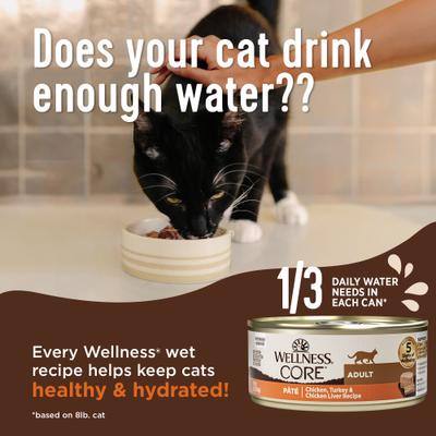 Show full view: Wellness CORE+ Indoor Tuna & Tilapia Natural Grain-Free Pate Wet Cat Food, 2.8-oz can, case of 12 slide 5 of 11