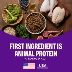 Wellness CORE Large Breed Puppy Grain-Free High-Protein Natural Chicken Dry Dog Food, 24-lb bag slide 2 of 9
