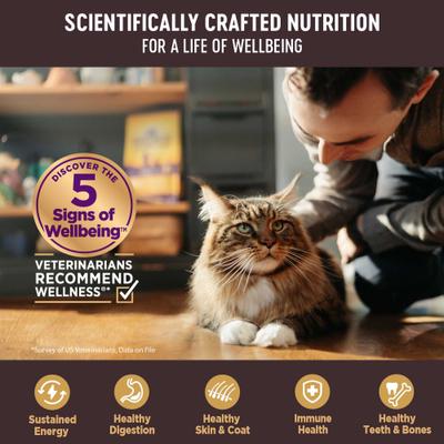 Show full view: Wellness CORE Natural Grain-Free Turkey & Chicken Liver Pate Canned Kitten Food, 3-oz, case of 12 slide 6 of 13