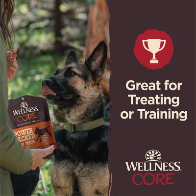 Show full view: Wellness CORE Power Packed Beef Grain-Free Jerky Dog Treats, 4-oz bag slide 6 of 12