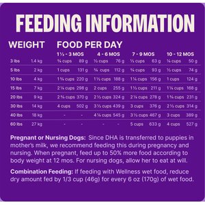 Wellness CORE Puppy Grain-Free High-Protein Natural Chicken & Turkey Dry Dog Food, 4-lb bag