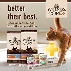 Wellness CORE+ Skin & Coat Salmon & Sardine Natural Grain-Free Pate Wet Cat Food, 2.8-oz can, case of 12 slide 2 of 8