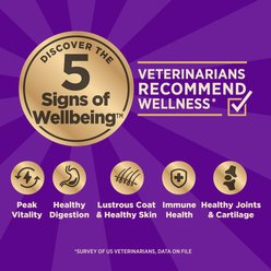 Wellness CORE Small Breed Healthy Weight Adult Grain-Free High-Protein Natural Turkey Dry Dog Food, 12-lb bag slide 2 of 9