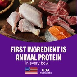Wellness CORE+ Small Breed with Freeze-Dried Pieces Adult Wholesome Grains High-Protein Natural Turkey & Chicken Dry Dog Food, 10-lb bag slide 2 of 9