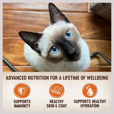 Show full view: Wellness CORE Tiny Tasters Chicken & Beef Pate Grain-Free Cat Food Pouches, 1.75-oz, pack of 12 slide 5 of 11