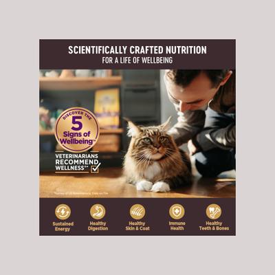 Show full view: Wellness CORE Tiny Tasters Chicken, Chicken & Turkey Pate Land Variety Pack Grain-Free Cat Food Pouches, 1.75-oz, pack of 12 slide 5 of 11