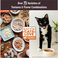 Wellness CORE Tiny Tasters Kitten Chicken Grain-Free Minced Wet Cat Food, 1.75-oz pouch, case of 12 slide 2 of 9