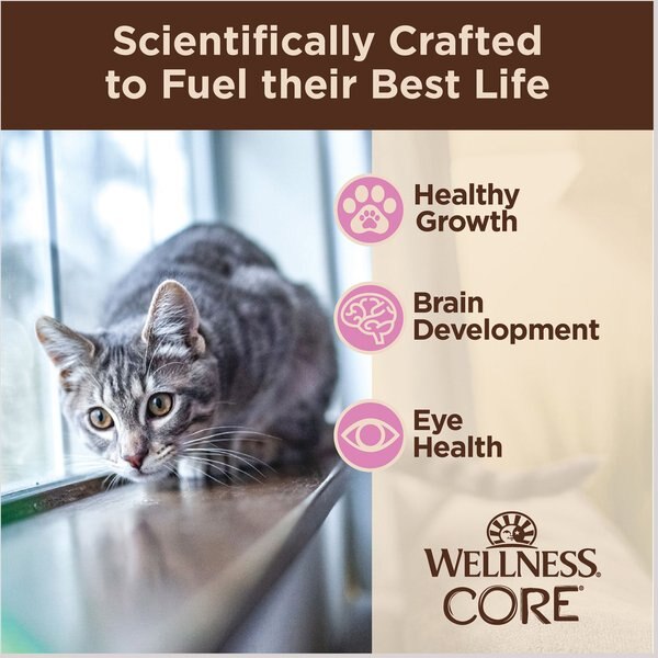 Wellness CORE 95% Chicken Grain-Free Canned Cat Food