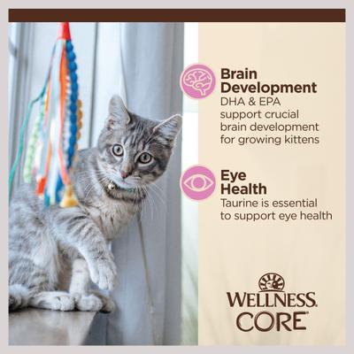 Show full view: Wellness CORE Tiny Tasters Kitten Chicken Grain-Free Pate Wet Cat Food, 1.75-oz pouch, case of 12 slide 7 of 12