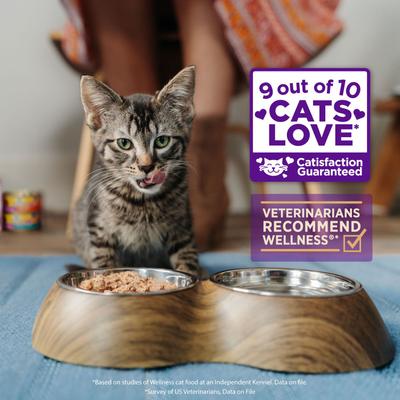 Show full view: Wellness CORE Tiny Tasters Tuna & Shrimp Grain-Free Flaked Wet Cat Food, 1.75-oz pouch, case of 12 slide 4 of 12