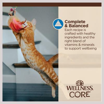 Show full view: Wellness CORE Tiny Tasters Tuna & Shrimp Grain-Free Flaked Wet Cat Food, 1.75-oz pouch, case of 12 slide 8 of 12