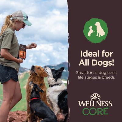 Show full view: Wellness CORE Tiny Trainers Tender Lamb & Apples Dog Treats, 6-oz bag slide 6 of 11
