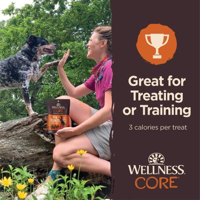 Show full view: Wellness CORE Tiny Trainers Tender Turkey & Pomegranate Dog Treats, 6-oz bag slide 5 of 11