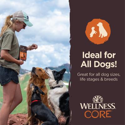 Show full view: Wellness CORE Tiny Trainers Tender Turkey & Pomegranate Dog Treats, 6-oz bag slide 6 of 11