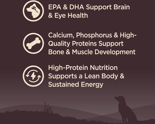 Show full view: Wellness CORE Wholesome Grains Puppy High Protein Dry Dog Food, 12-lb bag slide 3 of 12