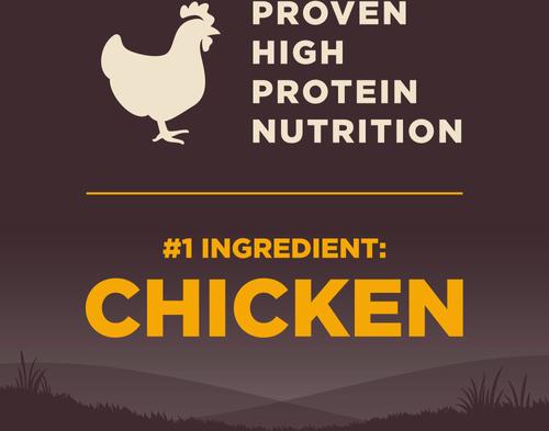 Show full view: Wellness CORE Wholesome Grains Puppy High Protein Dry Dog Food, 12-lb bag slide 5 of 12