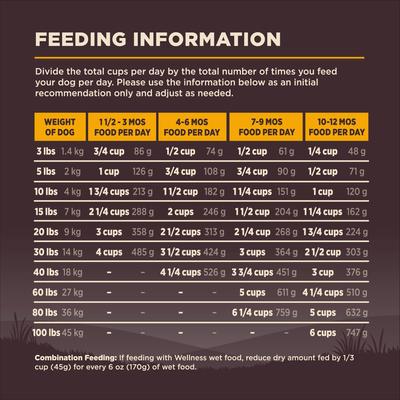 Show full view: Wellness CORE Wholesome Grains Puppy High Protein Dry Dog Food, 12-lb bag slide 9 of 12