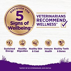 Wellness Grain-Free Complete Health Adult Lamb & Lamb Meal Recipe Dry Dog Food, 24-lb bag slide 2 of 8