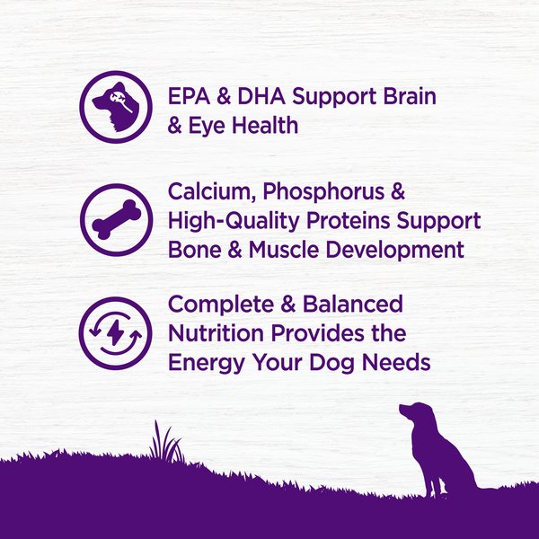 Show full view: Wellness Grain-Free Complete Health Puppy Deboned Chicken, Chicken Meal & Salmon Meal Recipe Dry Dog Food, 24-lb bag slide 4 of 11