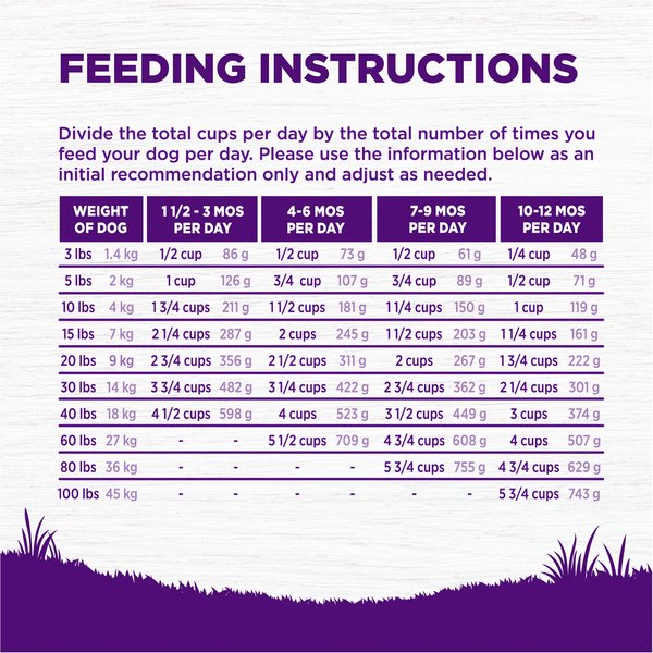Show full view: Wellness Grain-Free Complete Health Puppy Deboned Chicken, Chicken Meal & Salmon Meal Recipe Dry Dog Food, 24-lb bag slide 9 of 11