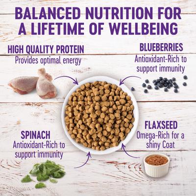 Show full view: Wellness Grain-Free Complete Health Puppy Deboned Chicken, Chicken Meal & Salmon Meal Recipe Dry Dog Food, 4-lb bag slide 5 of 11