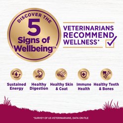 Wellness Grain-Free Complete Health Small Breed Adult Deboned Turkey, Chicken Meal & Salmon Meal Recipe Dry Dog Food, 11-lb bag slide 2 of 8