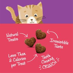 Wellness Kittles Natural Grain-Free Salmon & Cranberries Crunchy Cat Treats, 2-oz bag slide 2 of 6
