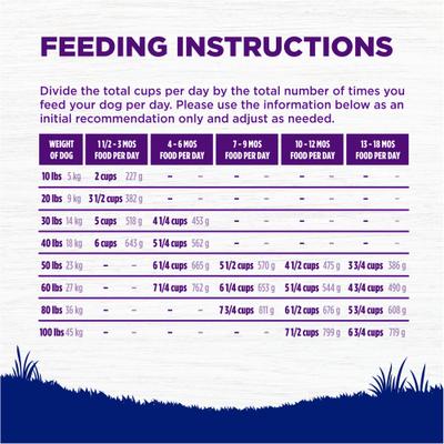 Show full view: Wellness Large Breed Complete Health Puppy Deboned Chicken, Brown Rice & Salmon Meal Recipe Dry Dog Food, 30-lb bag slide 9 of 11