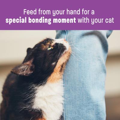 Show full view: Wellness Lickable Treats Tuna Recipe Cat Treats, 0.4-oz pouch, pack of 6 slide 6 of 11