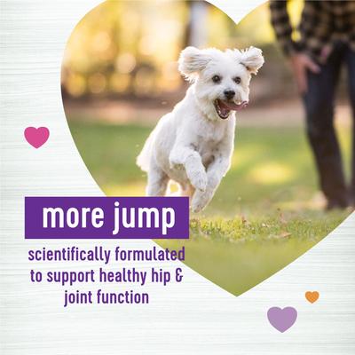Show full view: Wellness Move Hip & Joint Support Chicken Flavor Chew Supplements + CORE Digestive Health Age Advantage Senior Chicken & Brown Rice Dry Dog Food slide 9 of 9