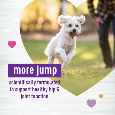 Show full view: Wellness Move Hip & Joint Support Chicken Flavor Chew Supplements + Large Breed Complete Health Deboned Chicken & Brown Rice Recipe Dry Dog Food slide 3 of 9
