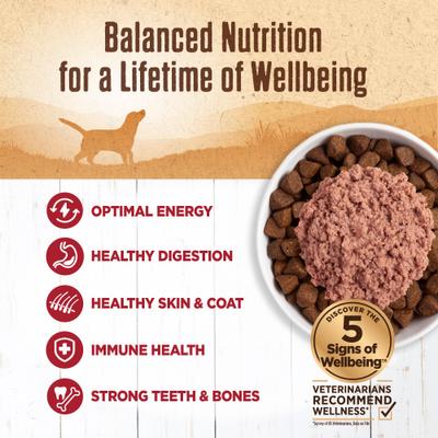 Show full view: Wellness Ninety-Five Percent Beef Grain-Free Canned Dog Food Topper, 13.2-oz, case of 12 slide 5 of 9