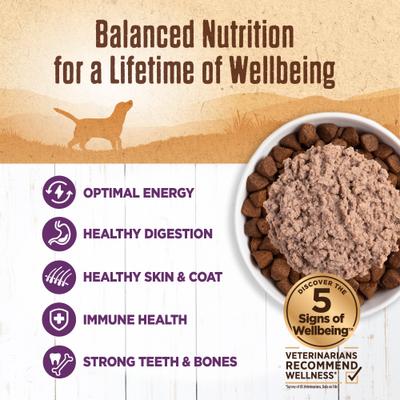 Show full view: Wellness Ninety-Five Percent Chicken Grain-Free Natural Canned Dog Food, 13.2-oz, case of 12 slide 5 of 9
