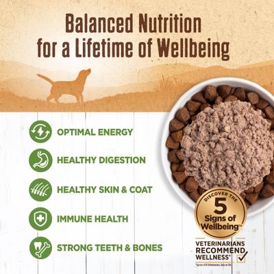 Show full view: Wellness Ninety-Five Percent Lamb Grain-Free Canned Dog Food, 13.2-oz, case of 12 slide 5 of 9
