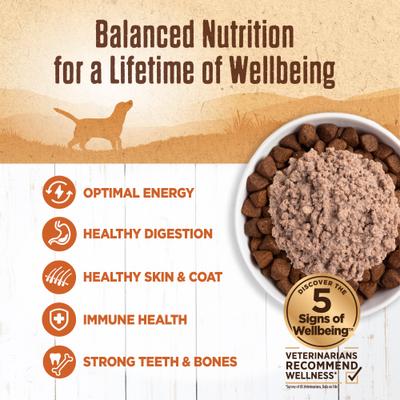 Show full view: Wellness Ninety-Five Percent Turkey Grain-Free Canned Dog Food, 13.2-oz, case of 12 slide 5 of 9