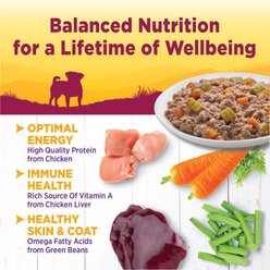 Wellness Complete Health Petite Entrees Adult Small Breed Grain-Free Chicken, Green Beans & Carrots Casserole Wet Dog Food, 3-oz cup, case of 12 slide 2 of 6