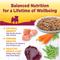 Show in main carousel: Wellness Complete Health Petite Entrees Adult Small Breed Grain-Free Chicken, Green Beans & Carrots Casserole Wet Dog Food, 3-oz cup, case of 12 slide 3 of 9