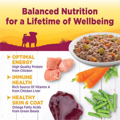 Show full view: Wellness Complete Health Petite Entrees Adult Small Breed Grain-Free Chicken, Green Beans & Carrots Casserole Wet Dog Food, 3-oz cup, case of 12 slide 3 of 9