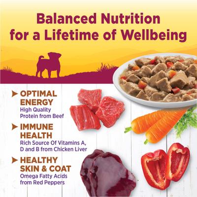 Show full view: Wellness Complete Health Petite Entrees Adult Small Breed Grain-Free Beef, Carrots & Red Peppers Mini-Filets Wet Dog Food, 3-oz cup, case of 12 slide 3 of 9