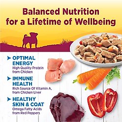 Wellness Complete Health Petite Entrees Adult Small Breed Grain-Free Chicken, Carrots & Red Peppers Mini-Filets Wet Dog Food, 3-oz cup, case of 12 slide 2 of 6