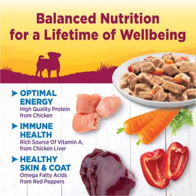 Show full view: Wellness Complete Health Petite Entrees Adult Small Breed Grain-Free Chicken, Carrots & Red Peppers Mini-Filets Wet Dog Food, 3-oz cup, case of 12 slide 3 of 9