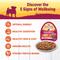 Show in main carousel: Wellness Complete Health Petite Entrees Adult Small Breed Grain-Free Chicken, Turkey, Carrots & Green Beans Shredded Medley Wet Dog Food, 3-oz cup, case of 12 slide 4 of 8