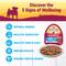Show in main carousel: Wellness Complete Health Petite Entrees Adult Small Breed Grain-Free Lamb, Venison, Sweet Potatoes & Carrots Shredded Medley Wet Dog Food, 3-oz cup, case of 12 slide 4 of 9