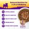 Show in main carousel: Wellness Complete Health Petite Entrees Adult Small Breed Sampler Variety Pack Grain-Free Wet Dog Food, 3-oz cup, case of 6 slide 4 of 7