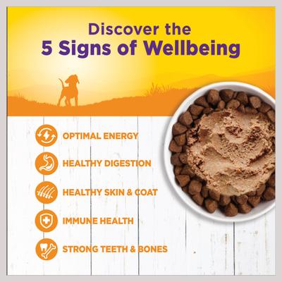 Show full view: Wellness Small Breed Complete Health Puppy Turkey, Oatmeal & Salmon Meal Recipe Dry Dog Food, 4-lb bag + Wellness Complete Health Just for Puppy Canned Dog Food, 12.5-oz, case of 12 slide 5 of 9