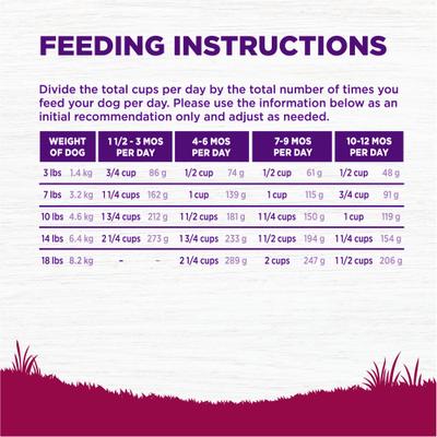 Show full view: Wellness Small Breed Complete Health Puppy Turkey, Oatmeal & Salmon Meal Recipe Dry Dog Food, 4-lb bag slide 9 of 11