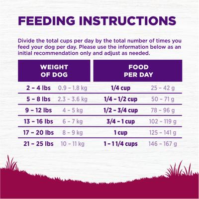 Show full view: Wellness Small Breed Complete Health Senior Deboned Turkey & Peas Recipe Dry Dog Food, 4-lb bag slide 10 of 12