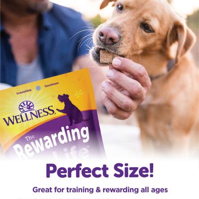 Show full view: Wellness The Rewarding Life Lamb & Salmon + Beef & Turkey Dog Treats slide 9 of 9