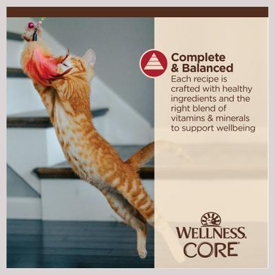 Show full view: Wellness CORE Tiny Tasters Chicken & Beef Grain-Free Minced Wet Cat Food, 1.75-oz pouch, case of 12 slide 8 of 12